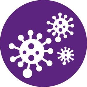 Màng Lọc Không Khí Hepa Philips FY2422/30 3 Màng Lọc Không Khí Hepa Philips FY2422/30