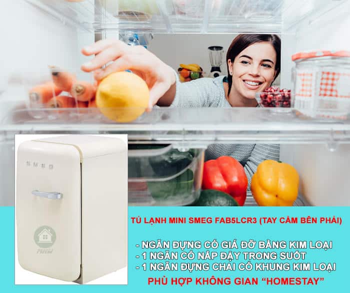 Tủ Lạnh Mini Smeg FAB5LCR3 5 TU LANH MINI SMEG FAB5LCR3 Tay CAM BEN PHAI Gia Dụng Đức Đà Nẵng