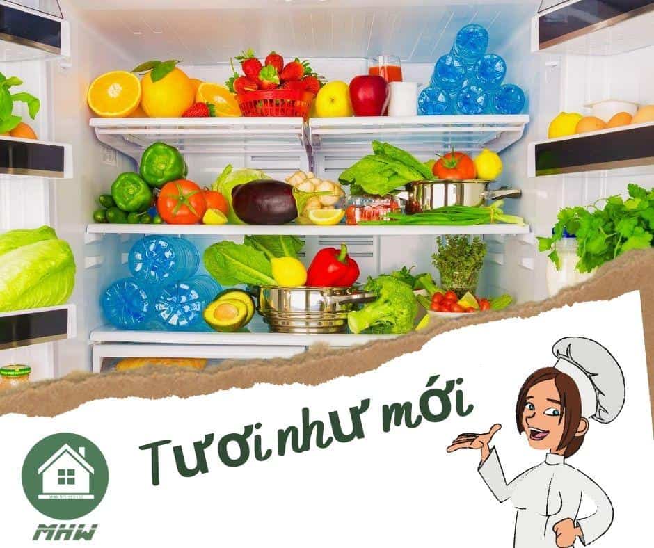 Cách bảo quản thực phẩm An Toàn cho sức khỏe 3 a Gia Dụng Đức Đà Nẵng