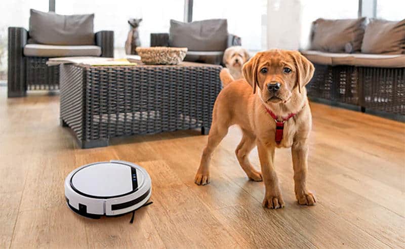 Robot Hút Bụi, Lau Nhà Medion MD19510-5