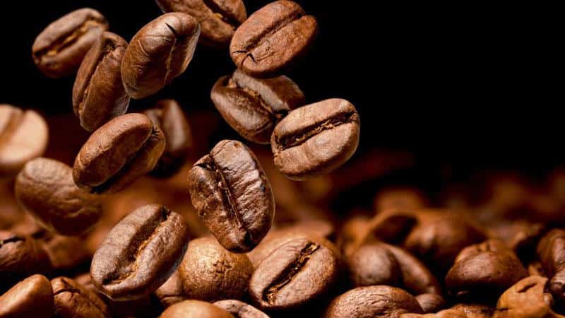 Máy pha cafe tự động Siemens EQ.500 TP501D09 12 Máy Pha Cà Phê Tự Động Siemens EQ.500 TP501D09