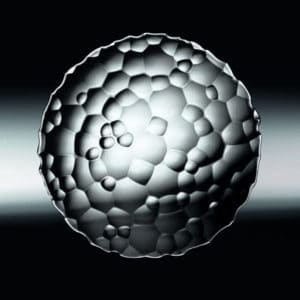 Bộ 2 Đĩa Pha Lê Nachtmann 93628, 23cm 3 Bộ 2 Đĩa Pha Lê Nachtmann 93628, 23cm