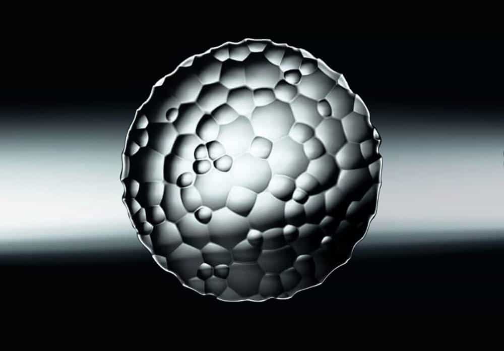 Bộ 2 Đĩa Pha Lê Nachtmann 93628, 23cm-5 Bộ 2 Đĩa Pha Lê Nachtmann 93628, 23cm