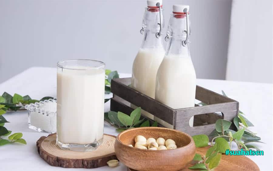 Sữa hạt - “trợ thủ đắc lực” mang lại thói quen ăn uống tích cực