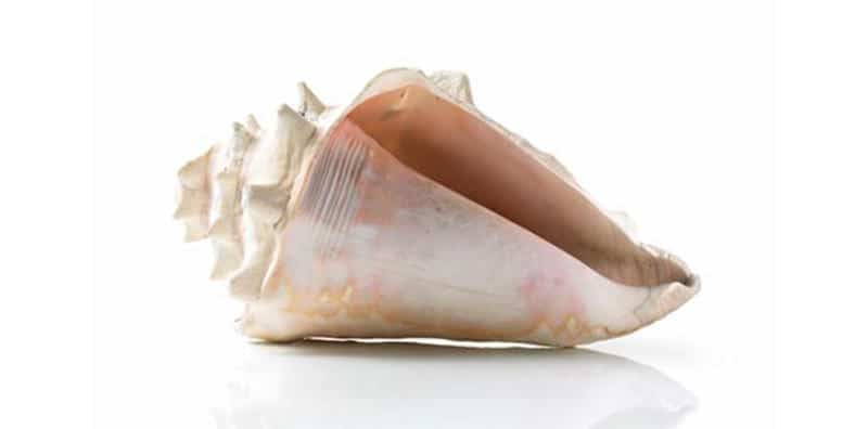 Máy Hút Mùi Treo Tường Bosch DWB67LM50 Series 6 11 Máy Hút Mùi Treo Tường Bosch DWB67LM50 Series 6