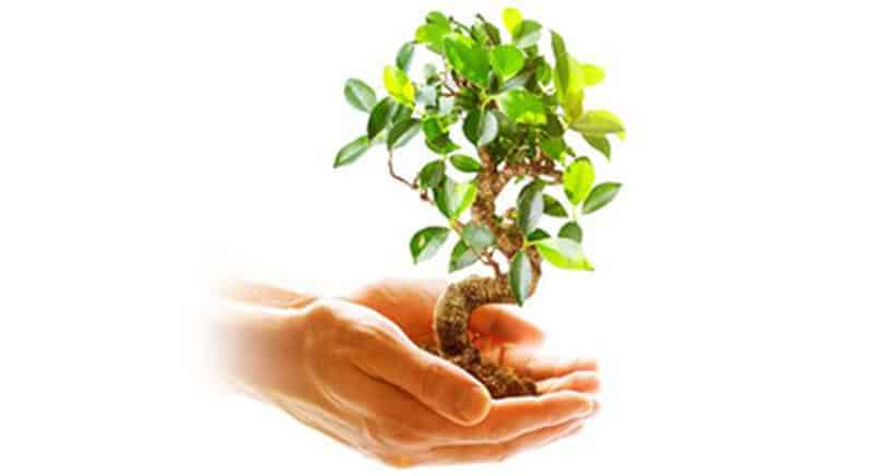 Máy Hút Mùi Treo Tường Bosch DWB67LM50 Series 6 12 Máy Hút Mùi Treo Tường Bosch DWB67LM50 Series 6