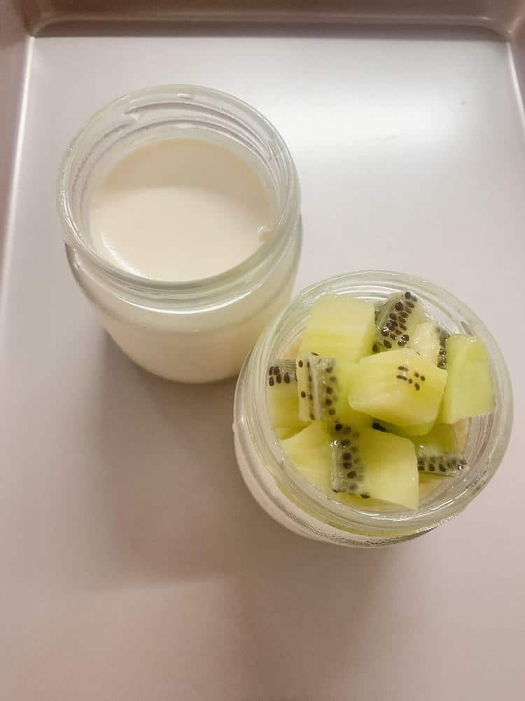 Máy Làm Sữa Chua Steba JM 2-4