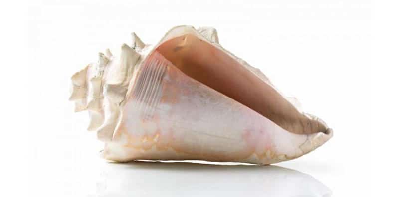 Máy Hút Mùi Bosch DWK97JM60 Serie 6 - 3