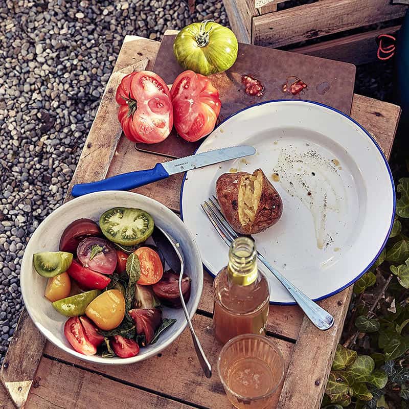 Bộ Dao Victorinox Classic Thụy Sĩ Lưỡi Cưa 6 Màu 5 Bộ Dao Victorinox Classic Thụy Sĩ Lưỡi Cưa 6 Màu