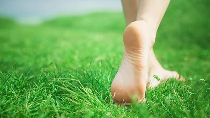 Dụng Cụ Tẩy Da Chết Gót Chân Balea Hornhautraspel