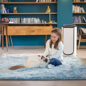 Máy Lọc Không Khí Rowenta PU 6080 Intense Pure Air Connect XL