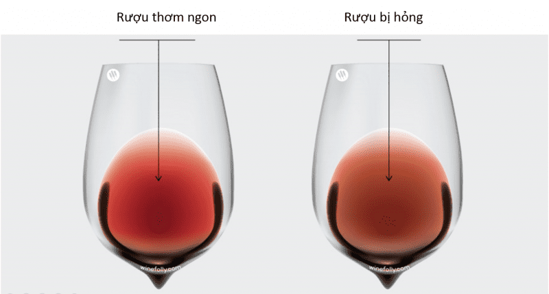 Rượu vang để được bao lâu ? Bảo quản rượu vang thế nào đúng cách ? 4 Rượu vang để được bao lâu