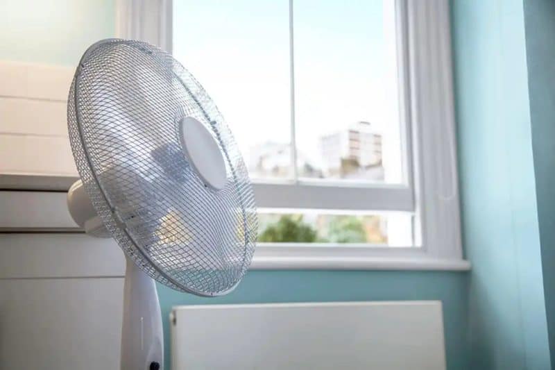 Công Suất Quạt Điện, Quạt Trần, Quạt Cây Phổ Biến 1 cong-suat-quat-dien-4