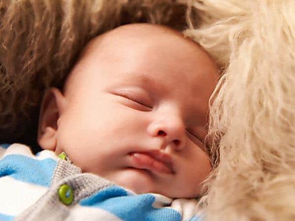 Máy Rửa Chén Miele G 7110 SC AutoDos 17 Máy Rửa Chén Miele G 7110 SCi AutoDos Bán Âm