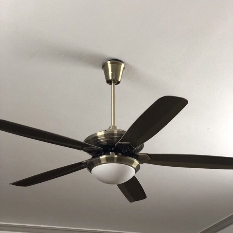 cac-loai-quat-10 cac-loai-quat-10