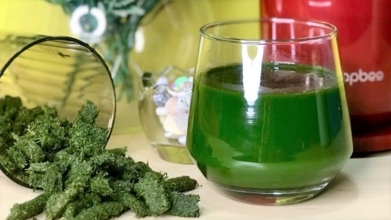 cach-ep-rau-ma-bang-may-ep-cham-1