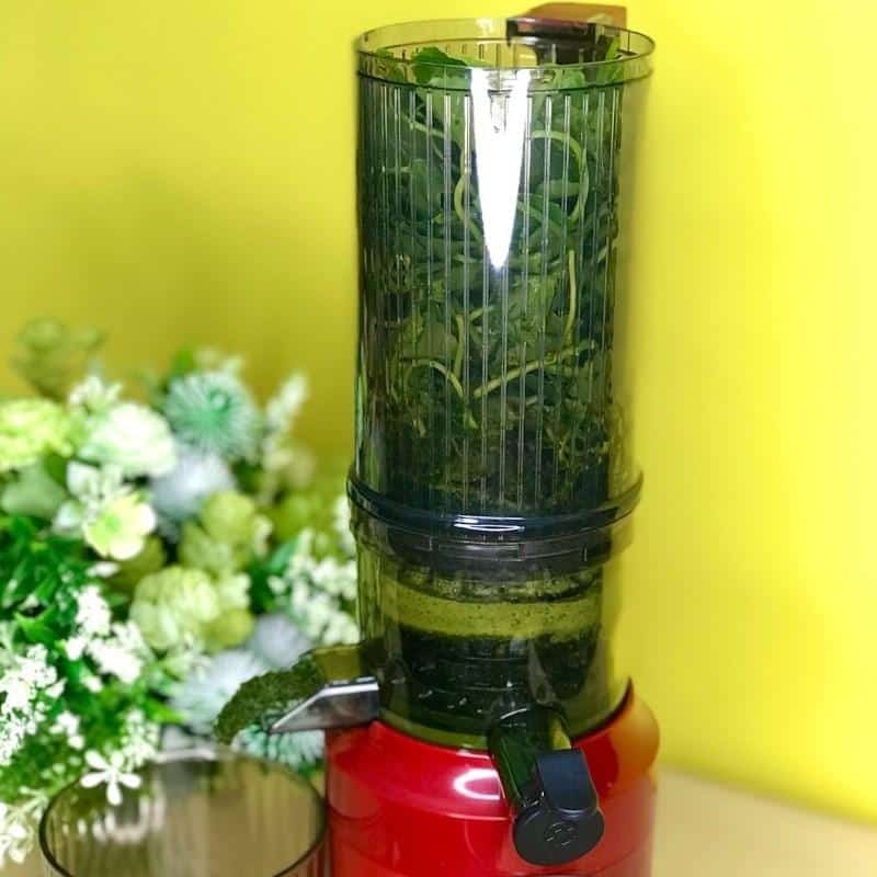 cach-ep-rau-ma-bang-may-ep-cham-3