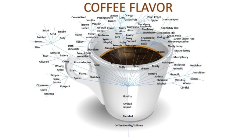 Cách Pha Cà Phê Espresso Bằng Máy Chuẩn Vị Của Các CoffeeShop 1 Những thông số cần lưu ý trong khi pha cà phê