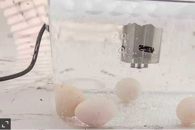 Giới Thiệu Phương Pháp Nấu Chậm Sous Vide 5 Nấu chậm sous vide cho người mới bắt đầu