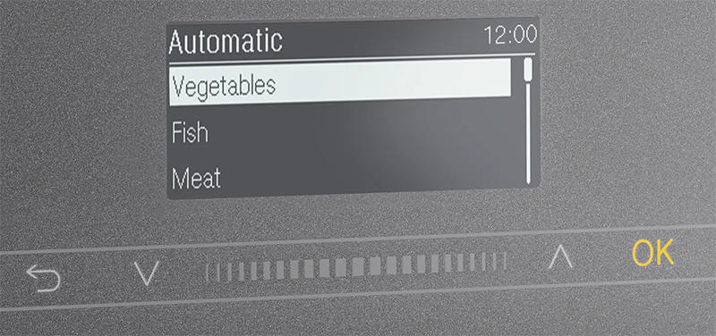 Lò hấp kết hợp vi sóng Miele DGM 7340