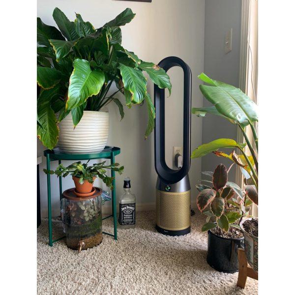 So Sánh Quạt Tháp Và Quạt Hơi Nước, Nên Mua Loại Nào? 1 so-sanh-quat-thap-va-quat-hoi-nuoc