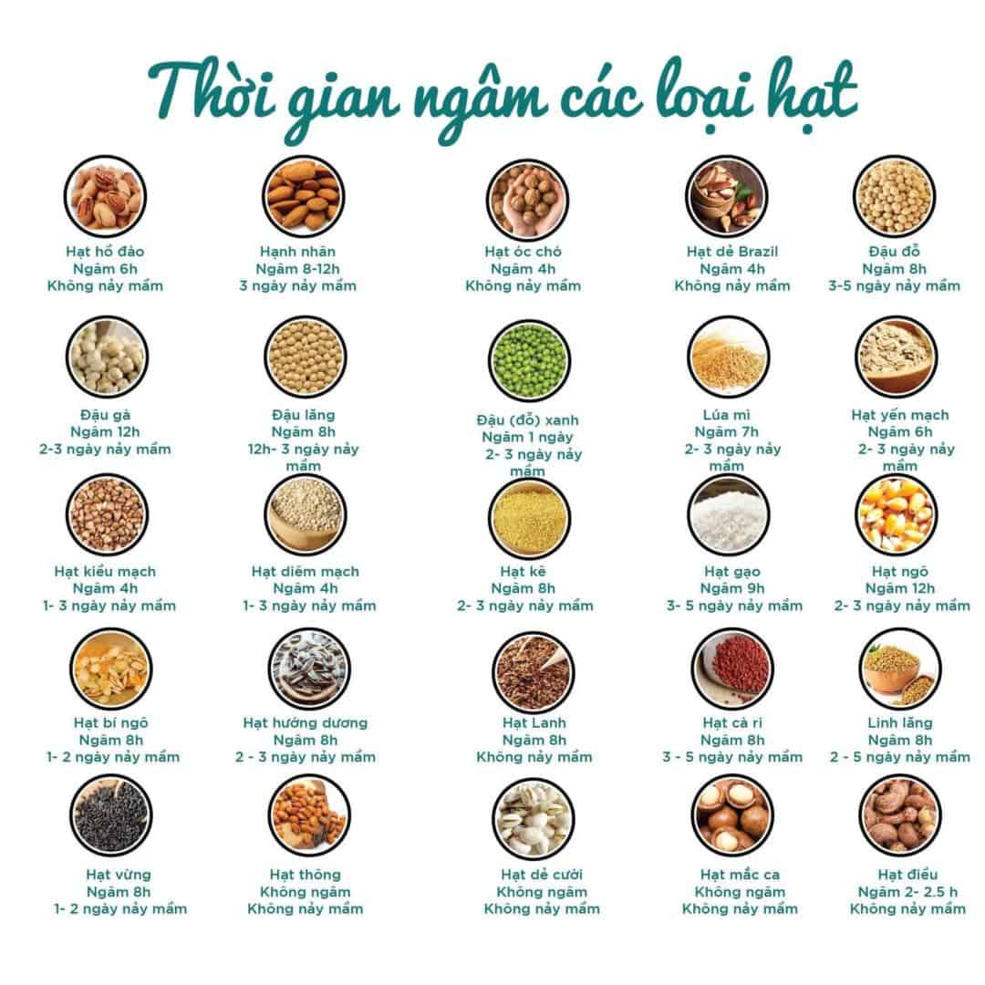 Để Làm Sữa Hạt Ngon Những Điều Bạn Cần Biết Khi Chọn Hạt 3 Thời gian ngâm các loại hạt