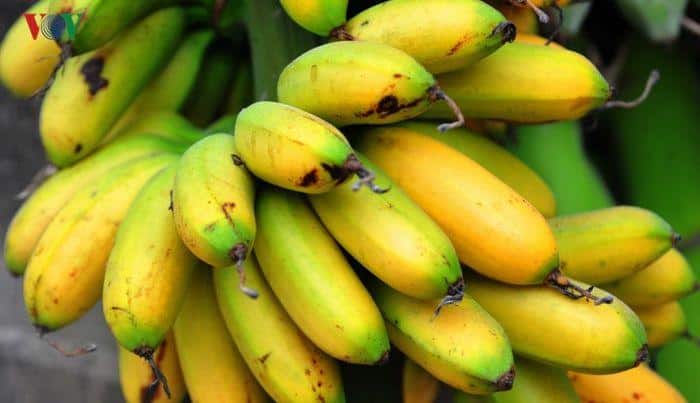 Cách Làm Mứt Chuối