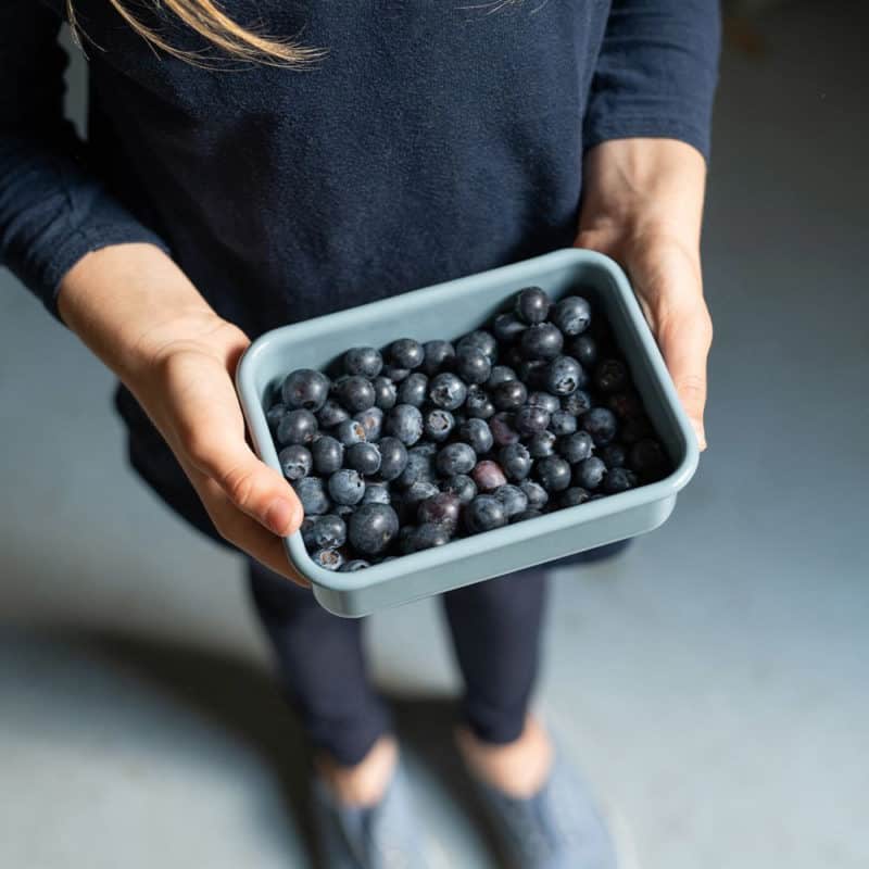 Hộp Đựng Thực Phẩm Riess 15x11x5cm 7 Hộp Đựng Thực Phẩm Riess 15x11x5cm