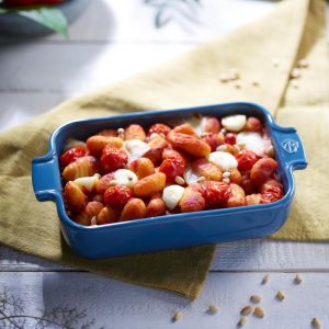 Khay nướng chữ nhật gốm Peugeot Appolia 7 khay nuong chu nhat peugeot appolia 45 Gia Dụng Đức Đà Nẵng