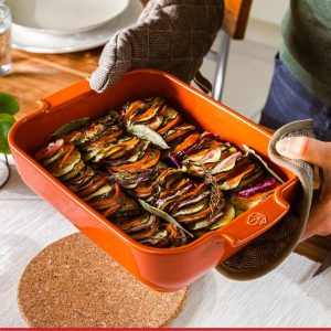 Khay nướng chữ nhật gốm Peugeot Appolia 10 khay nuong chu nhat peugeot appolia 48 Gia Dụng Đức Đà Nẵng