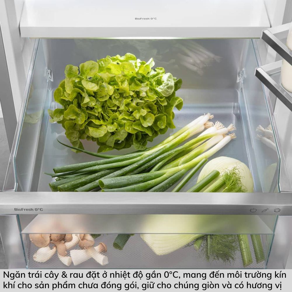 Tủ Lạnh Liebherr IRBh 5170 BioFresh Beige Green Minimal Product Feature Instagram Posts 58 Gia Dụng Đức Đà Nẵng
