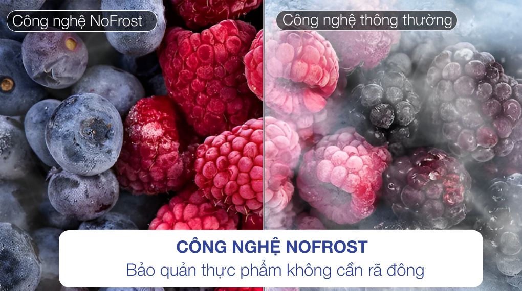 Tủ lạnh âm tủ Liebherr 480 lít ECBN 6156 PremiumPlus BioFresh NoFrost - Công nghệ Nofrost cấp đông không đóng tuyết tu lanh liebherr ecbn 6156 2 5 Gia Dụng Đức Đà Nẵng