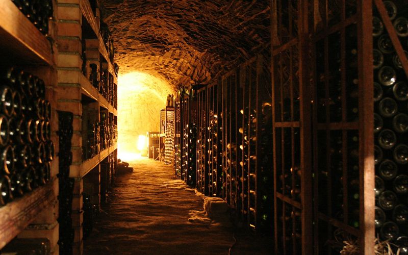 Cần để rượu vang tránh xa ánh sáng mặt trời