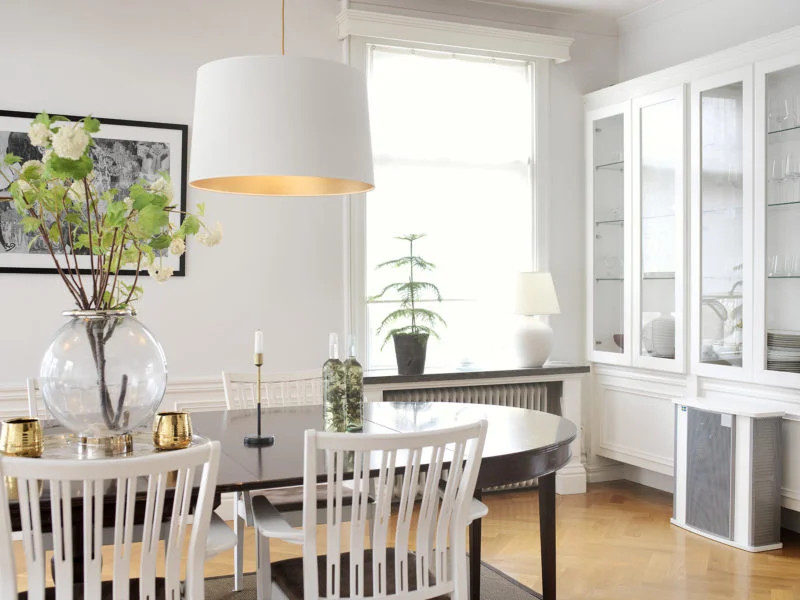 Độc Tố Từ Nấm Mốc Và Vai Trò Quan Trọng Của Máy Hút Ẩm 1 Khong gian trong nha Gia Dụng Đức Đà Nẵng