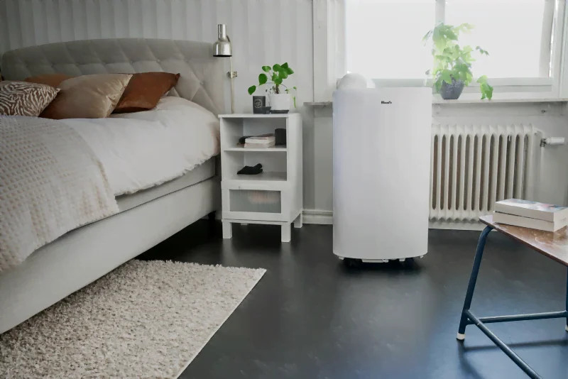 Độc Tố Từ Nấm Mốc Và Vai Trò Quan Trọng Của Máy Hút Ẩm 4 su quan trong cua may hut am Gia Dụng Đức Đà Nẵng