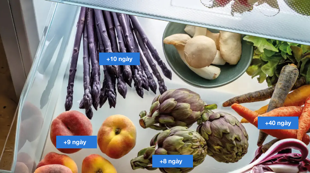 Tủ lạnh âm tủ Liebherr 297 L IRBPh 5170 Peak BioFresh - Lý tưởng để bảo quản trái cây và rau Tủ lạnh âm tủ Liebherr 297 L IRBPh 5170 Peak BioFresh