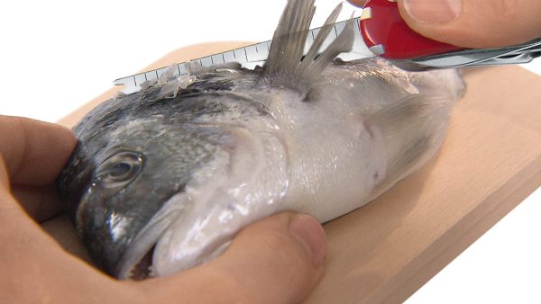 Dụng Cụ Đa Năng Victorinox Fisherman 1.4733.72 15 Dụng Cụ Đa Năng Victorinox Fisherman 1.4733.72-6