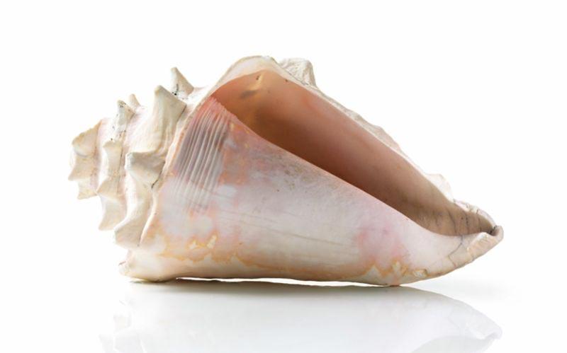 Máy Hút Mùi Bosch DFS067K51 Serie 8 13 Máy Hút Mùi Bosch DFS067K51 Serie 8