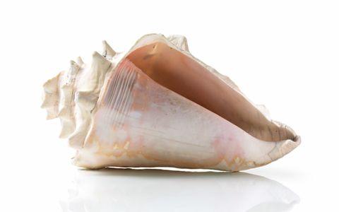 Máy Hút Mùi Treo Tường Bosch DWB67IM50 Serie 4 Thép Không Gỉ 9 Máy Hút Mùi Treo Tường Bosch DWB67IM50 Serie 4 Thép Không Gỉ-1