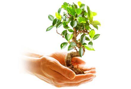 Máy Hút Mùi Treo Tường Bosch DWB66BC50 Serie 2 Thép Không Gỉ 11 Máy Hút Mùi Treo Tường Bosch DWB66BC50 Serie 2 Thép Không Gỉ