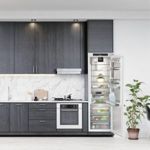 Tủ lạnh âm tủ Liebherr 296 lít IRBAd 5190 Peak BioFresh 12 Liebherr Gia Dụng Đức Đà Nẵng