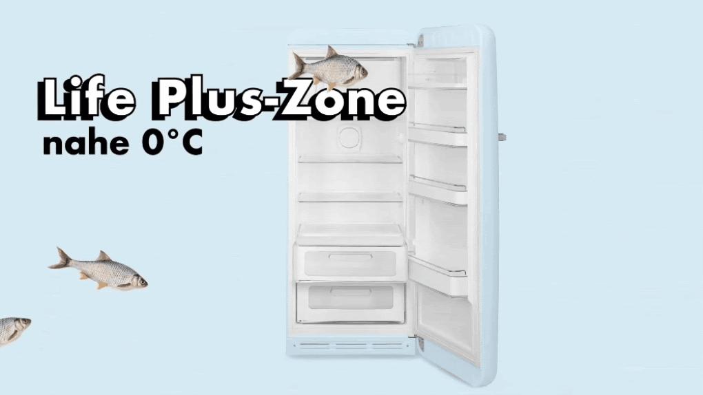 tu lanh smeg inverter 270 lit fab28d phien ban dac biet 10 Gia Dụng Đức Đà Nẵng