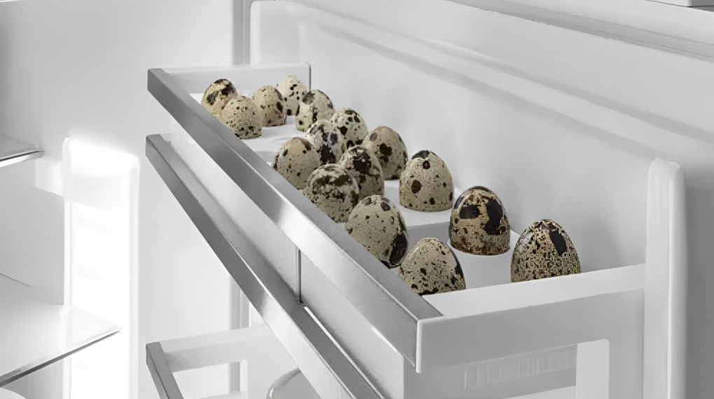 Tủ lạnh Liebherr 384 lít SRBsdh 5260 Prime BioFresh - Kệ cửa ngăn lạnh tu lanh liebherr 384 lit srbsdh 5260 20 Gia Dụng Đức Đà Nẵng