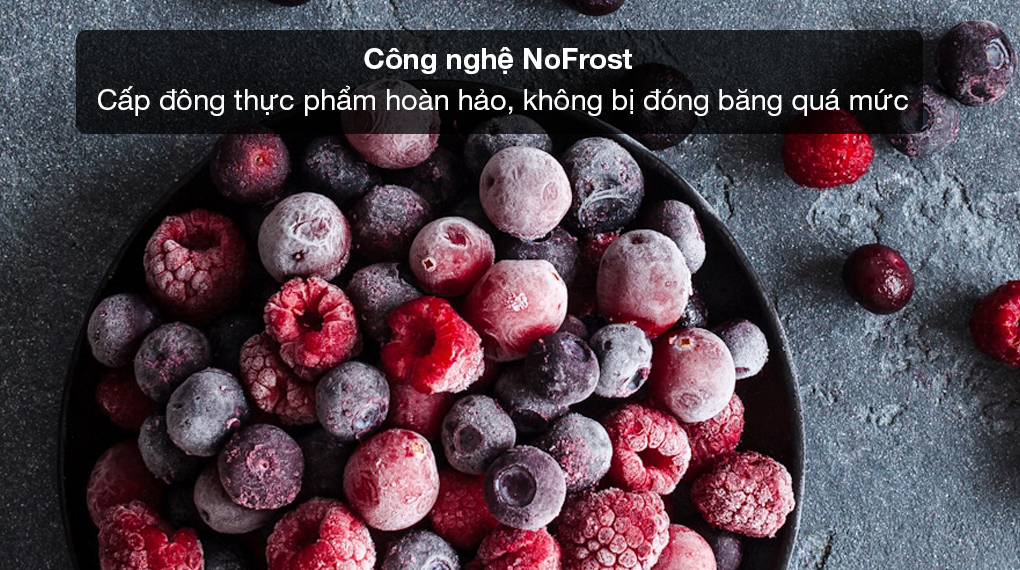 Tủ lạnh Liebherr 640 lít XRFbsh 5265 Prime BioFresh NoFrost - Cấp đông thực phẩm hoàn hảo cùng công nghệ không đóng tuyết NoFrost