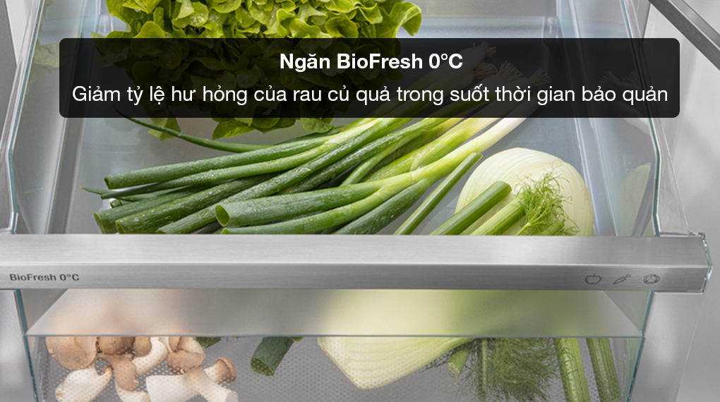 Tủ lạnh Liebherr 640 lít XRFbsh 5265 Prime BioFresh NoFrost - Bảo quản hiệu quả rau củ và trái cây với ngăn BioFresh