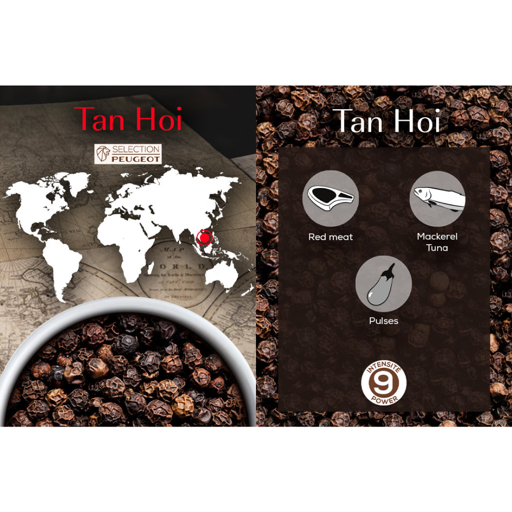 hat-tieu-peugeot-classic-selection-4 hat tieu peugeot classic selection 4 Gia Dụng Đức Đà Nẵng